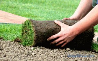 Układanie trawnika z trawy: niuanse technologiczne i procesowe