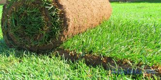 Układanie trawnika z trawy: niuanse technologiczne i procesowe