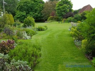 Angielski ogród - dziesięć podstawowych zasad jego układania