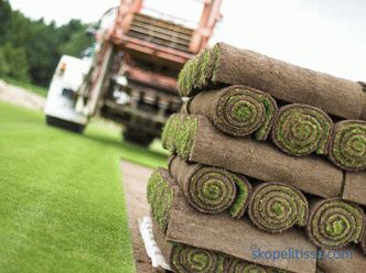 Trawa trawiasta w rolkach, ceny za zwiniętą trawę, którą trawa trawiasta kupić w Moskwie