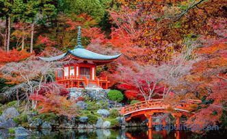 Ogród japoński - zasady i zasady tworzenia stylu