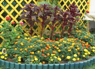 Granica dla klombów - pomysły na zdjęcia, jak zrobić ozdobne ogrodzenie na kwiaty