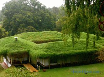 powody popularności ogrodów wysokich, rodzaje ogrodów dachowych
