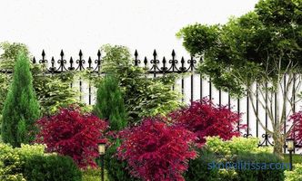 Kwietnik wzdłuż ogrodzenia: zasady projektowania krajobrazu
