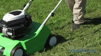 Wertykulator trawnika - jak wybrać