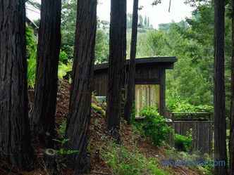 Dwa mini-domki jako przedłużenie domu w Mill Valley w Kalifornii