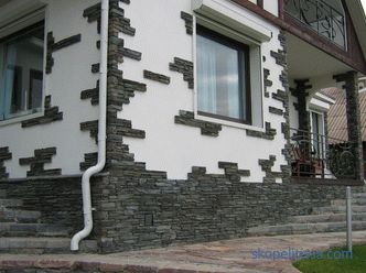 Projekt i style fasady wiejskiego domu: przykłady ze zdjęciami